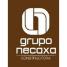 Logo grupo necaxa